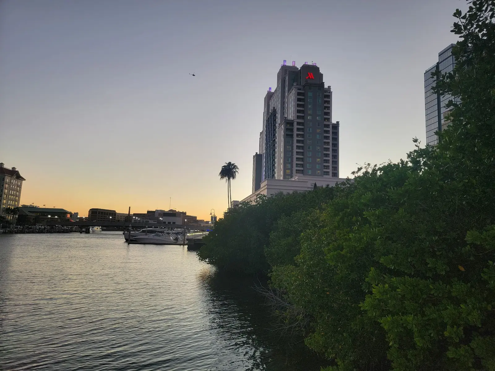 Downtown Tampa Florida streets with palm trees